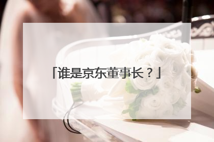 谁是京东董事长？