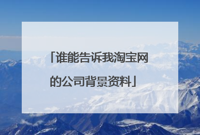 谁能告诉我淘宝网的公司背景资料