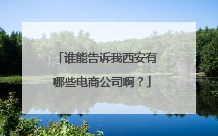 谁能告诉我西安有哪些电商公司啊?
