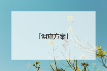 调查方案