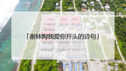 谢林陶我爱你开头的诗句