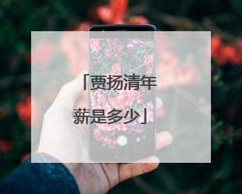 贾扬清年薪是多少