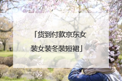 货到付款京东女装女装冬装短裙