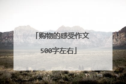 购物的感受作文500字左右