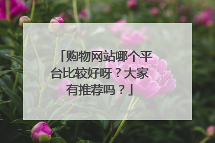 购物网站哪个平台比较好呀?大家有推荐吗?