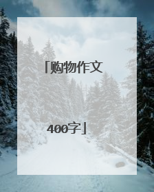 购物作文400字