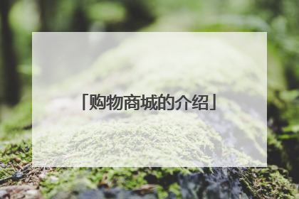 购物商城的介绍