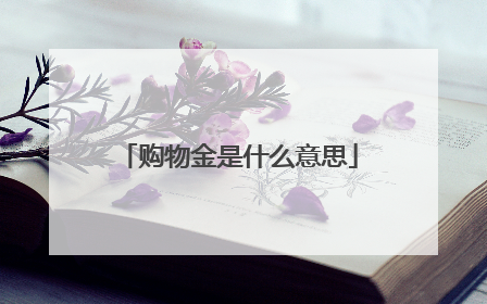 购物金是什么意思