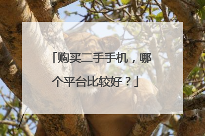 购买二手手机,哪个平台比较好?