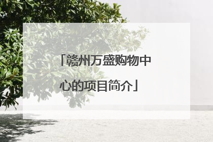 赣州万盛购物中心的项目简介