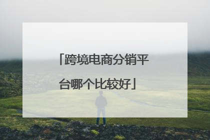 跨境电商分销平台哪个比较好