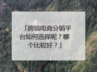 跨境电商分销平台如何选择呢？哪个比较好？