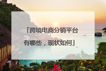 跨境电商分销平台有哪些，现状如何