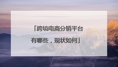 跨境电商分销平台有哪些,现状如何
