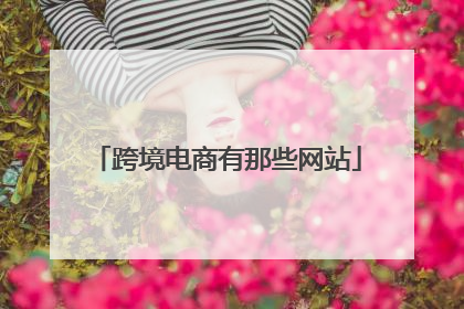 跨境电商有那些网站