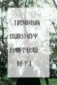 跨境电商货源分销平台哪个比较好?