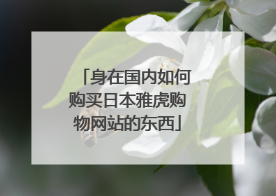 身在国内如何购买日本雅虎购物网站的东西