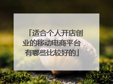 适合个人开店创业的移动电商平台有哪些比较好的