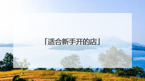 适合新手开的店