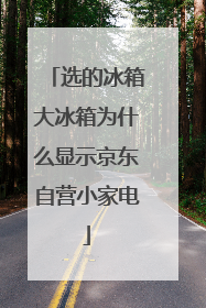 选的冰箱大冰箱为什么显示京东自营小家电