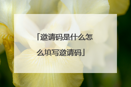 邀请码是什么怎么填写邀请码