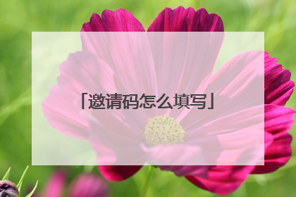 邀请码怎么填写