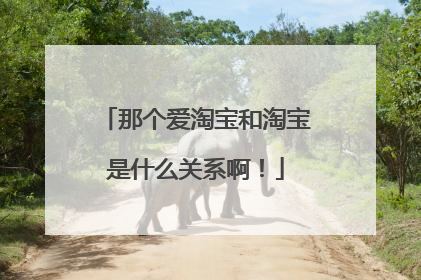 那个爱淘宝和淘宝是什么关系啊!