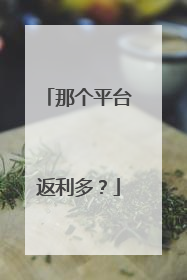 那个平台返利多？