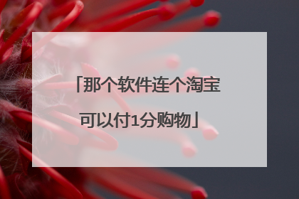 那个软件连个淘宝可以付1分购物