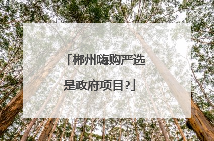 郴州嗨购严选是政府项目?