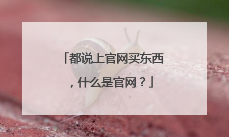 都说上官网买东西,什么是官网?