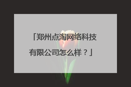 郑州点淘网络科技有限公司怎么样?