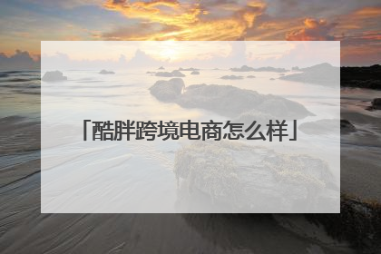 酷胖跨境电商怎么样