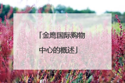 金鹰国际购物中心的概述