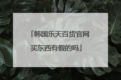 韩国乐天百货官网买东西有假的吗