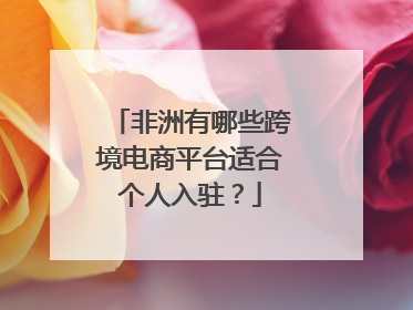非洲有哪些跨境电商平台适合个人入驻?