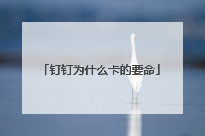 钉钉为什么卡的要命