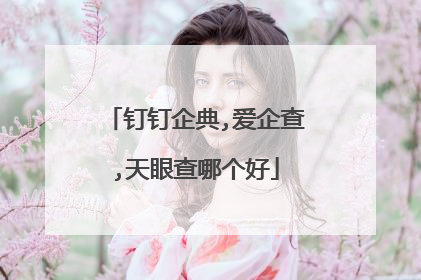 钉钉企典,爱企查,天眼查哪个好