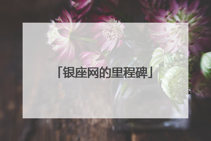 银座网的里程碑