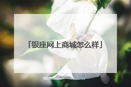 银座网上商城怎么样