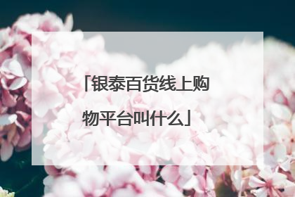 银泰百货线上购物平台叫什么