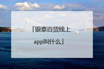 银泰百货线上app叫什么