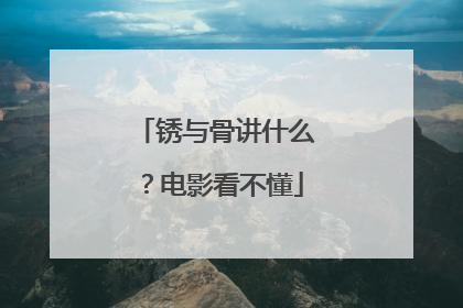锈与骨讲什么?电影看不懂
