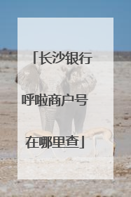 长沙银行呼啦商户号在哪里查