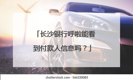 长沙银行呼啦能看到付款人信息吗？