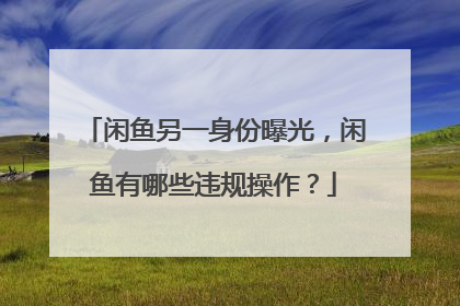 闲鱼另一身份曝光,闲鱼有哪些违规操作?