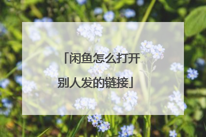 闲鱼怎么打开别人发的链接