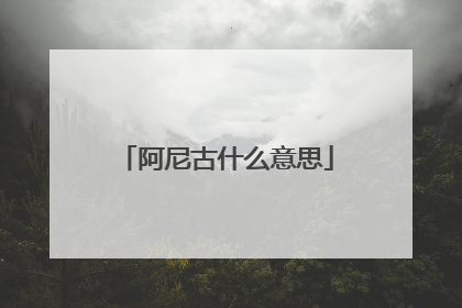 阿尼古什么意思
