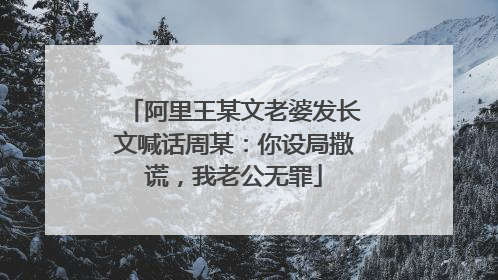 阿里王某文老婆发长文喊话周某:你设局撒谎,我老公无罪
