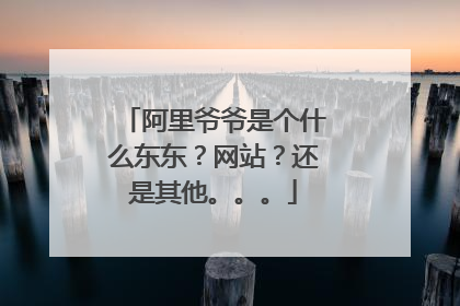 阿里爷爷是个什么东东?网站?还是其他。。。